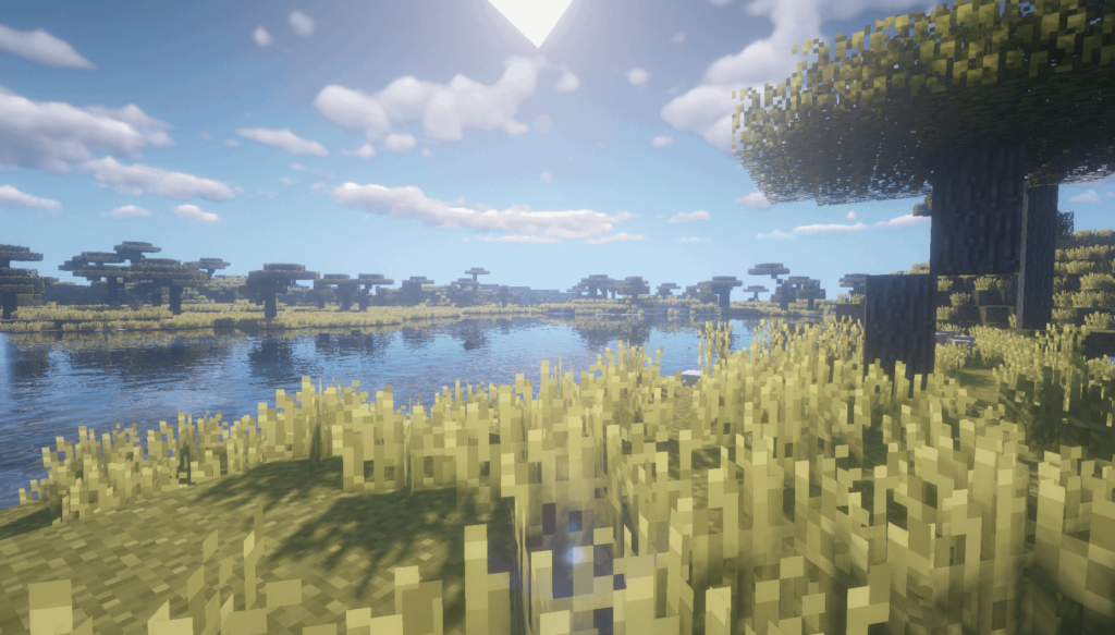 Enhancing Your Minecraft Experience with Shaders